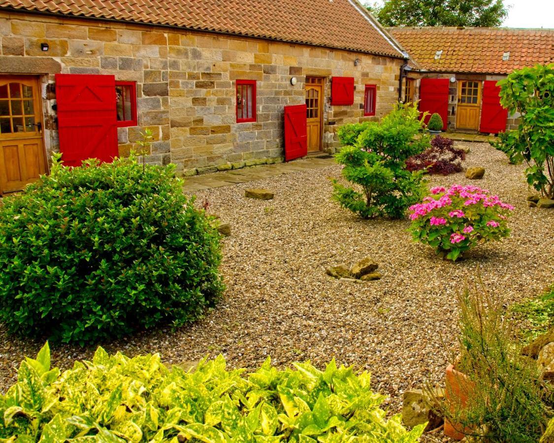Spangle Cottage, Borrowby Farm Cottages Staithes Exterior foto