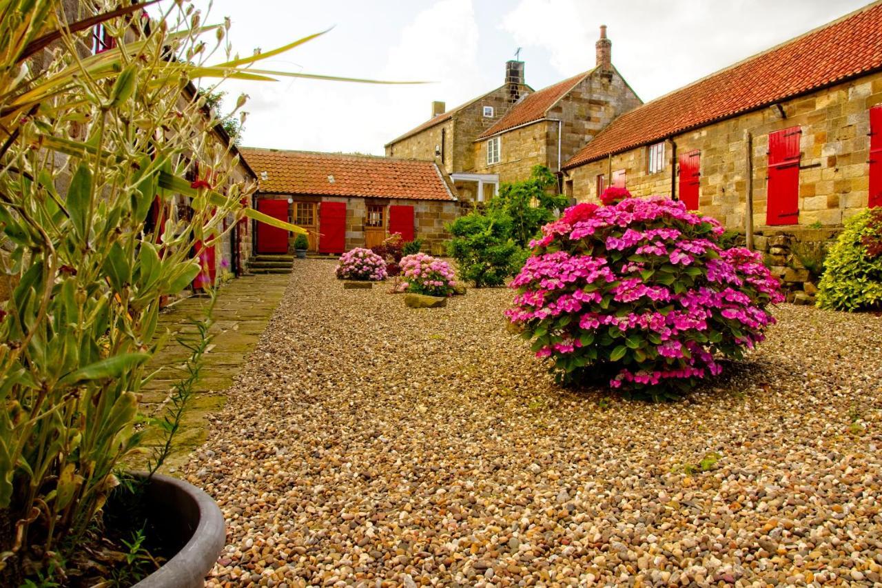 Spangle Cottage, Borrowby Farm Cottages Staithes Exterior foto